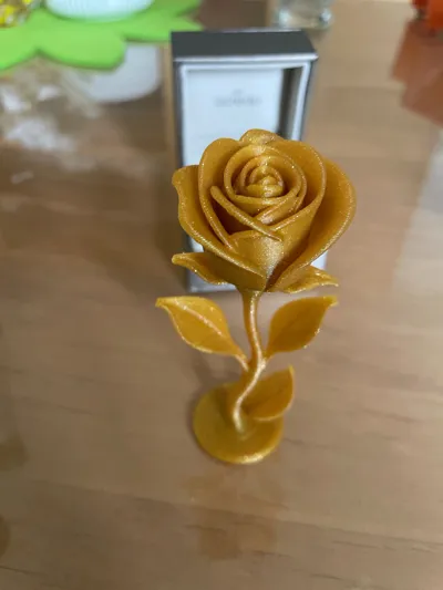 https://makerworld.bblmw.com/makerworld/model/1366591/1412367/ratings/29bf1fb0-33f9-11f0-a380-f587fa09121e.jpg