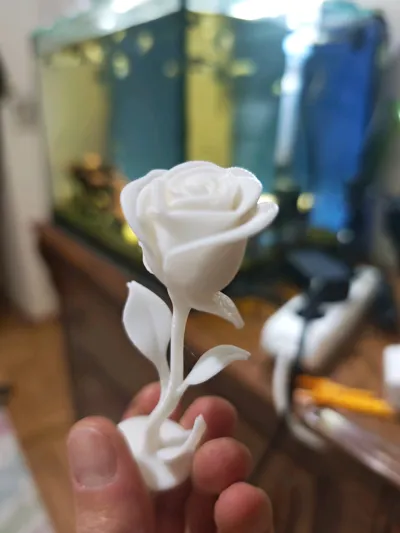 https://makerworld.bblmw.com/makerworld/model/1366591/1412367/ratings/57f57c20-c3dd-11f0-b1bd-2b96f74a47b4.jpg