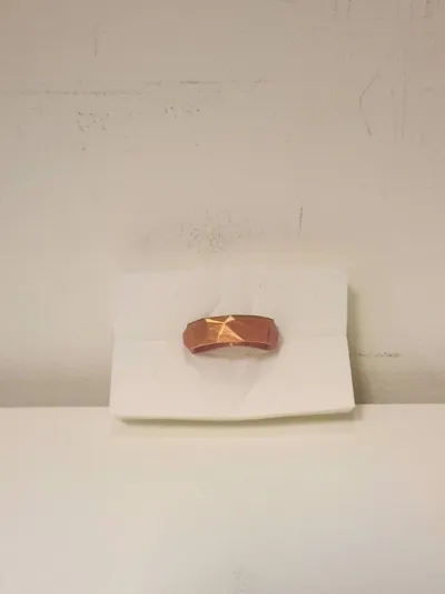 https://makerworld.bblmw.com/makerworld/model/13668/13281/ratings/6ca886c0-7e51-11f0-a5e2-8109ef17af98.jpg