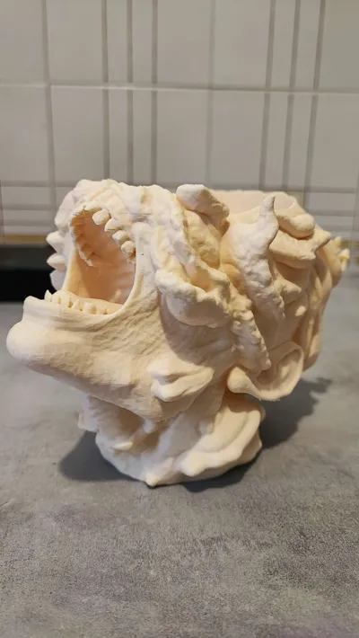 https://makerworld.bblmw.com/makerworld/model/1367333/1413181/ratings/2eb46540-34d8-11f0-9c8b-5f7111546573.jpg