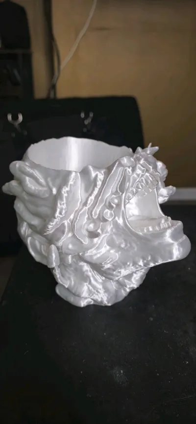 https://makerworld.bblmw.com/makerworld/model/1367333/1413181/ratings/556811d0-290e-11f0-9623-7d12b082590b.jpg