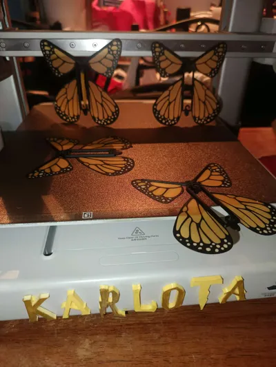 https://makerworld.bblmw.com/makerworld/model/1367350/1413221/ratings/0b922660-7182-11f0-be06-1de5e3132f82.jpg