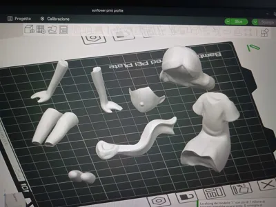 https://makerworld.bblmw.com/makerworld/model/1367903/1417178/ratings/7cc0e310-717a-11f0-bf98-9902f8e5e9a3.jpg