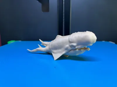 https://makerworld.bblmw.com/makerworld/model/1369137/1415384/ratings/6367c650-2606-11f0-8e5c-39b1885da8fa.jpg