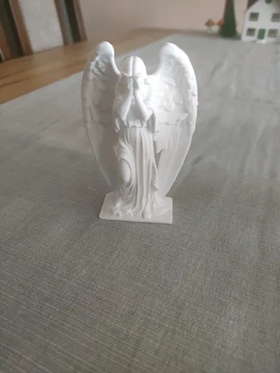 https://makerworld.bblmw.com/makerworld/model/1369714/1415962/ratings/5403bcd0-cdd3-11f0-b337-ef3bc7801f90.jpg