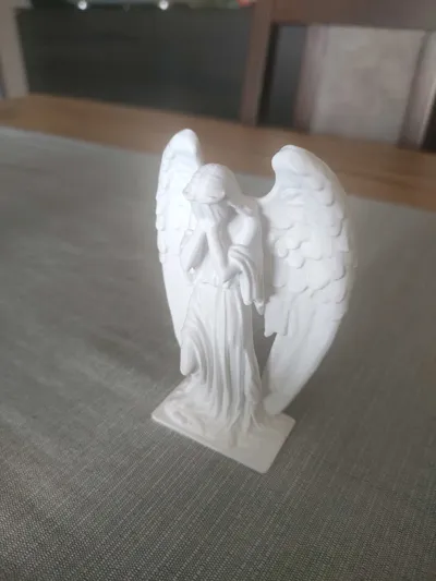 https://makerworld.bblmw.com/makerworld/model/1369714/1415962/ratings/541f8230-cdd3-11f0-b337-ef3bc7801f90.jpg