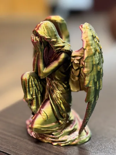 https://makerworld.bblmw.com/makerworld/model/1369719/1415964/ratings/82c33fd0-765f-11f0-aeda-f157858980d2.jpg