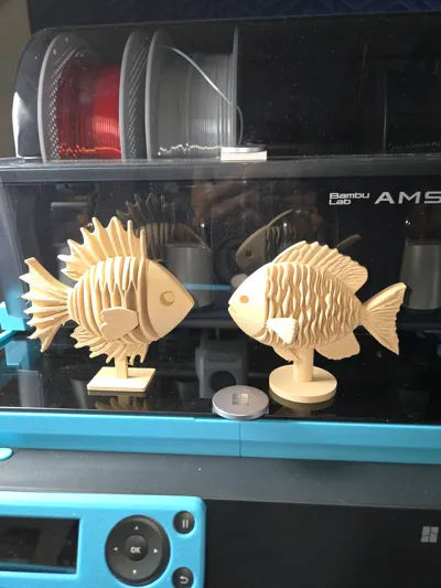 https://makerworld.bblmw.com/makerworld/model/1369769/1416006/ratings/99fb0930-d9fb-11f0-a962-1f17454b4f42.jpg