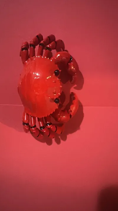 https://makerworld.bblmw.com/makerworld/model/1369794/1416033/ratings/eabcdf30-8201-11f0-a92a-338639500145.jpg
