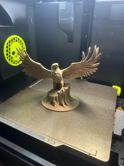 https://makerworld.bblmw.com/makerworld/model/1369859/1416098/ratings/96ac97d0-971b-11f0-8458-11cfa9eddd9d.jpg