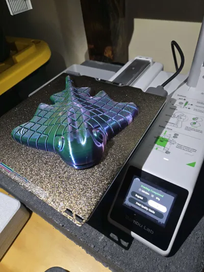 https://makerworld.bblmw.com/makerworld/model/1370621/1417026/ratings/6bfcd000-b510-11f0-a0ea-25cbd156419f.jpg