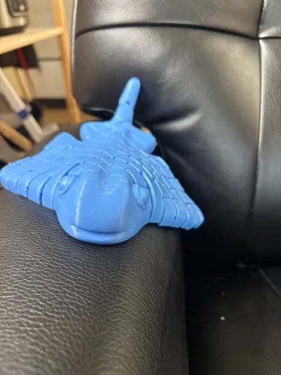 https://makerworld.bblmw.com/makerworld/model/1370621/1417026/ratings/6f574640-669b-11f0-8453-19ea5c6ad1db.jpg