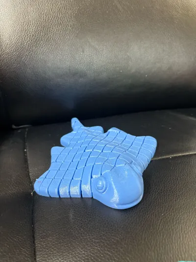 https://makerworld.bblmw.com/makerworld/model/1370621/1417026/ratings/6f8d9880-669b-11f0-8453-19ea5c6ad1db.jpg