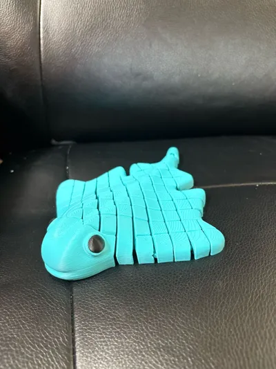 https://makerworld.bblmw.com/makerworld/model/1370621/1417026/ratings/6f8ed100-669b-11f0-8453-19ea5c6ad1db.jpg