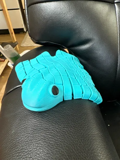 https://makerworld.bblmw.com/makerworld/model/1370621/1417026/ratings/6fbbd470-669b-11f0-8453-19ea5c6ad1db.jpg