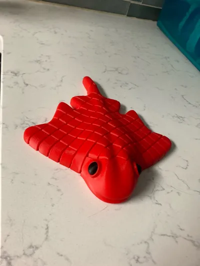 https://makerworld.bblmw.com/makerworld/model/1370621/1417026/ratings/f98ece10-3cdd-11f0-9cee-81d2c870b9c2.jpg