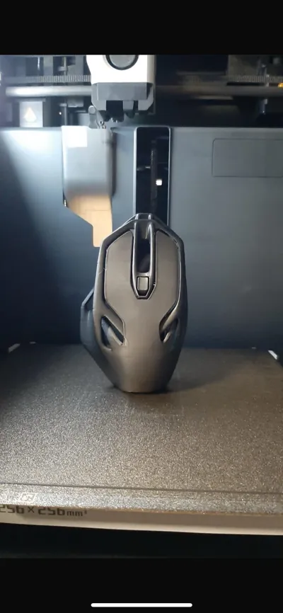 https://makerworld.bblmw.com/makerworld/model/13716/13568/ratings/b2015f00-0cdf-11f0-acdc-1570ba30cef3.jpg