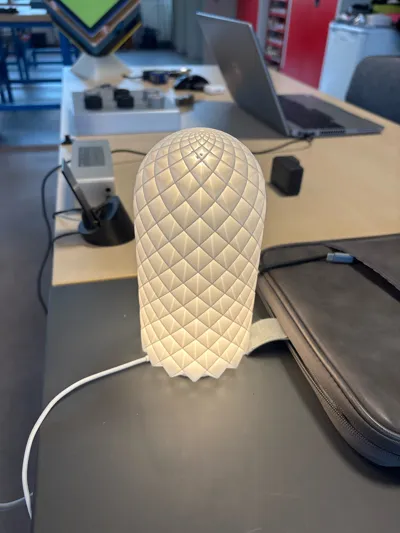 https://makerworld.bblmw.com/makerworld/model/13717/13429/ratings/09b5eec0-a437-11f0-b493-3fda0eb8837c.jpg