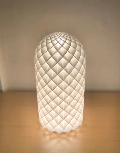 https://makerworld.bblmw.com/makerworld/model/13717/13429/ratings/42529bb0-53ed-11f0-881b-3b852f577a13.jpg