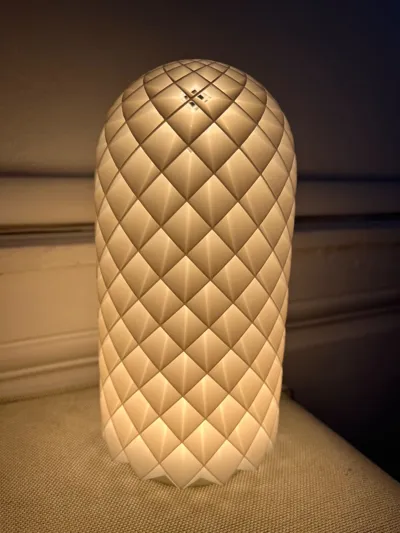 https://makerworld.bblmw.com/makerworld/model/13717/13429/ratings/69403950-6485-11f0-a4e7-e900894712da.jpg