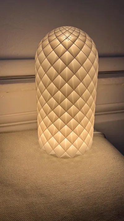 https://makerworld.bblmw.com/makerworld/model/13717/13429/ratings/69543680-6485-11f0-a4e7-e900894712da.jpg