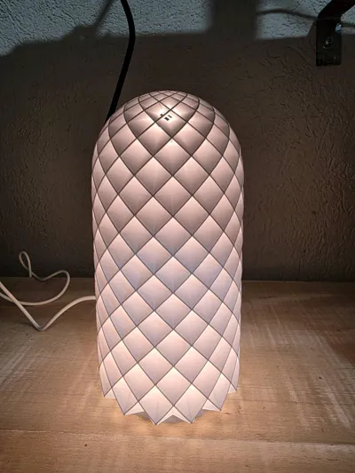https://makerworld.bblmw.com/makerworld/model/13717/13429/ratings/7c63a3e0-2386-11f0-8fa2-a1b2b2a6f865.jpg
