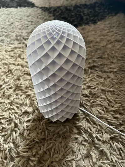 https://makerworld.bblmw.com/makerworld/model/13717/13429/ratings/850985a0-2205-11f0-9234-39ac60dc91d3.jpg