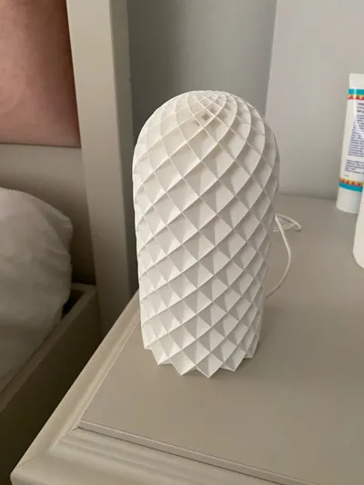 https://makerworld.bblmw.com/makerworld/model/13717/13429/ratings/88f0b050-597b-11f0-b089-e1f10f1c4e55.jpg