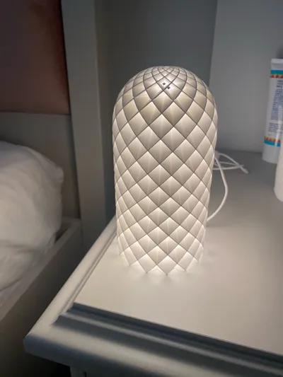 https://makerworld.bblmw.com/makerworld/model/13717/13429/ratings/88f1c1c0-597b-11f0-b089-e1f10f1c4e55.jpg