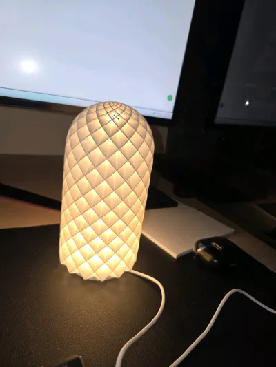 https://makerworld.bblmw.com/makerworld/model/13717/13429/ratings/8c44c740-5c42-11f0-bfda-95f1dac3ba03.jpg