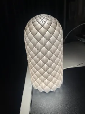 https://makerworld.bblmw.com/makerworld/model/13717/13429/ratings/b65f3cd0-fc76-11ef-8b18-4b0dee6f3391.jpg