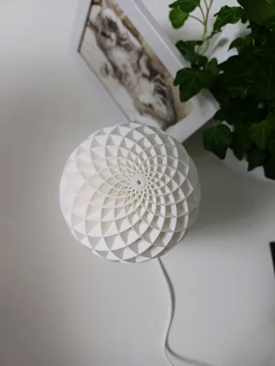https://makerworld.bblmw.com/makerworld/model/13717/13429/ratings/faf8c160-5e26-11f0-b7e4-2135cb70e8d1.jpg