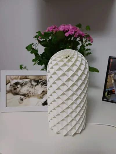 https://makerworld.bblmw.com/makerworld/model/13717/13429/ratings/fb0396d0-5e26-11f0-b7e4-2135cb70e8d1.jpg