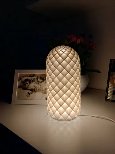 https://makerworld.bblmw.com/makerworld/model/13717/13429/ratings/fb067d00-5e26-11f0-b7e4-2135cb70e8d1.jpg