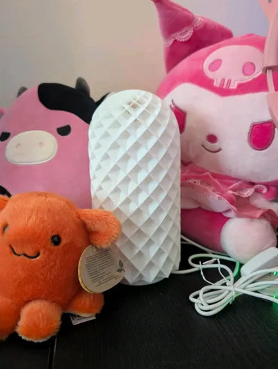 https://makerworld.bblmw.com/makerworld/model/13717/13429/ratings/ff9bc050-637b-11f0-8355-7f135d3e9640.jpg