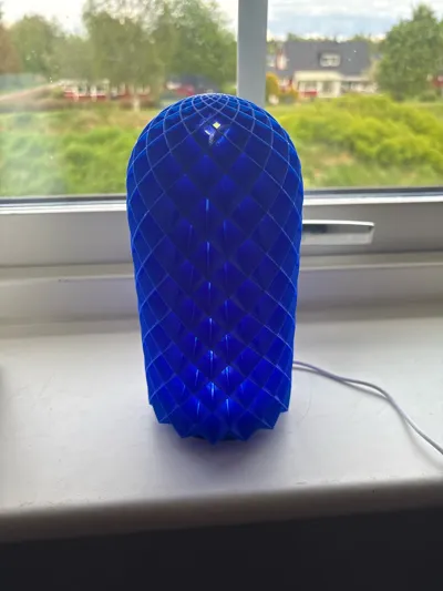 https://makerworld.bblmw.com/makerworld/model/13717/19393/ratings/695698f0-38be-11f0-b9d1-1fe5f2d0b2ae.jpg