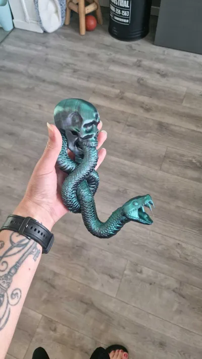 https://makerworld.bblmw.com/makerworld/model/1372213/1543442/ratings/e260e340-662c-11f0-9302-3def3cd9d88b.jpg