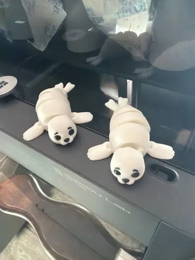 https://makerworld.bblmw.com/makerworld/model/1372584/1419320/ratings/a69913b0-c490-11f0-b097-99fa96a52025.jpg