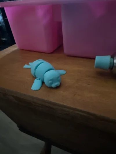 https://makerworld.bblmw.com/makerworld/model/1372584/1419331/ratings/ff745100-381f-11f0-93e6-f95e8e8e94a2.jpg