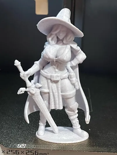 https://makerworld.bblmw.com/makerworld/model/1372693/1419429/ratings/d14c51c0-a218-11f0-b18a-4b2c59484f91.jpg