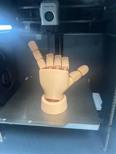 https://makerworld.bblmw.com/makerworld/model/1372777/1419528/ratings/ef757e90-2b78-11f0-9992-4b0ed2a2aeb0.jpg