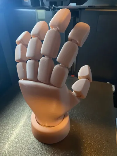 Articulated Hand - Free 3D Print Model - MakerWorld
