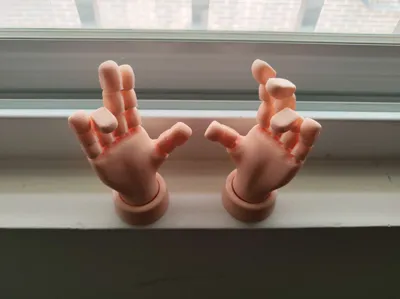 https://makerworld.bblmw.com/makerworld/model/1372777/1433036/ratings/00dfbcd0-320a-11f0-a95f-f7f79b6a0389.jpg