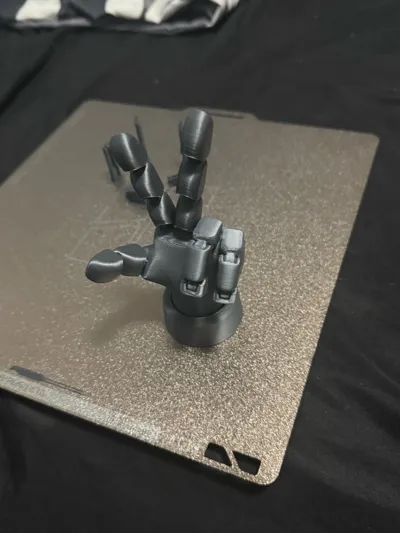 https://makerworld.bblmw.com/makerworld/model/1372777/1433036/ratings/ab5c5b90-2d47-11f0-8ea9-495211f1124b.jpg