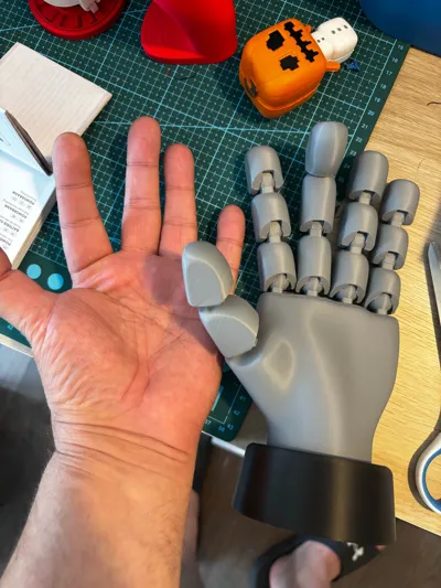 https://makerworld.bblmw.com/makerworld/model/1372777/1739986/ratings/baef6610-7545-11f0-8623-0799acff818f.jpg
