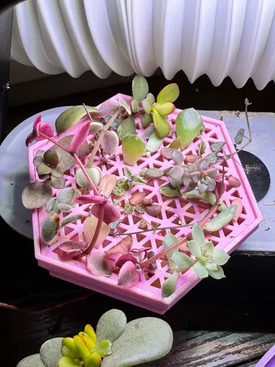 https://makerworld.bblmw.com/makerworld/model/1372887/1419672/ratings/6cf065d0-595d-11f0-8742-e5e5694e60fa.jpg