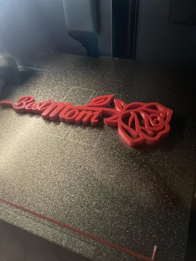 https://makerworld.bblmw.com/makerworld/model/1373246/1610214/ratings/4f897f60-cd0f-11f0-920c-179188dc6d3b.jpg
