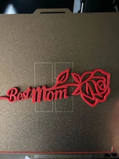 https://makerworld.bblmw.com/makerworld/model/1373246/1610214/ratings/4f89f490-cd0f-11f0-920c-179188dc6d3b.jpg