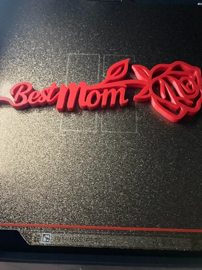 https://makerworld.bblmw.com/makerworld/model/1373246/1610214/ratings/4f8b0600-cd0f-11f0-920c-179188dc6d3b.jpg