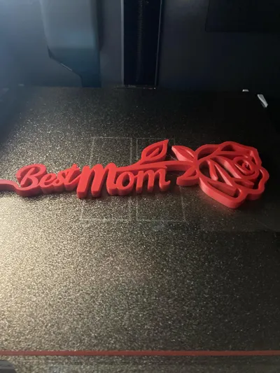 https://makerworld.bblmw.com/makerworld/model/1373246/1610214/ratings/4f9c6b20-cd0f-11f0-920c-179188dc6d3b.jpg